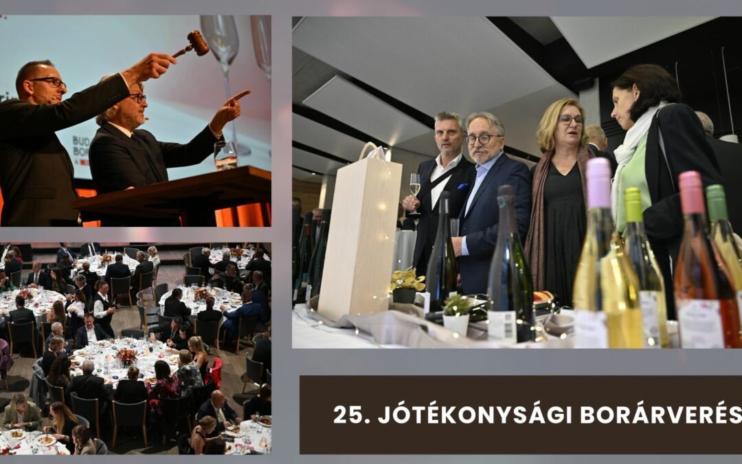 25. Jótékonysági Borárverés