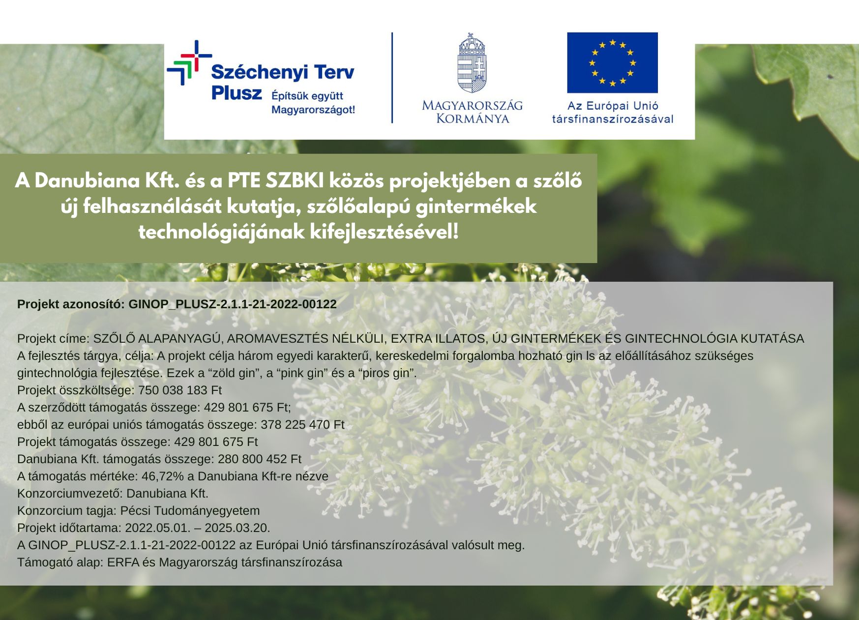 danubiana_palyazat_m